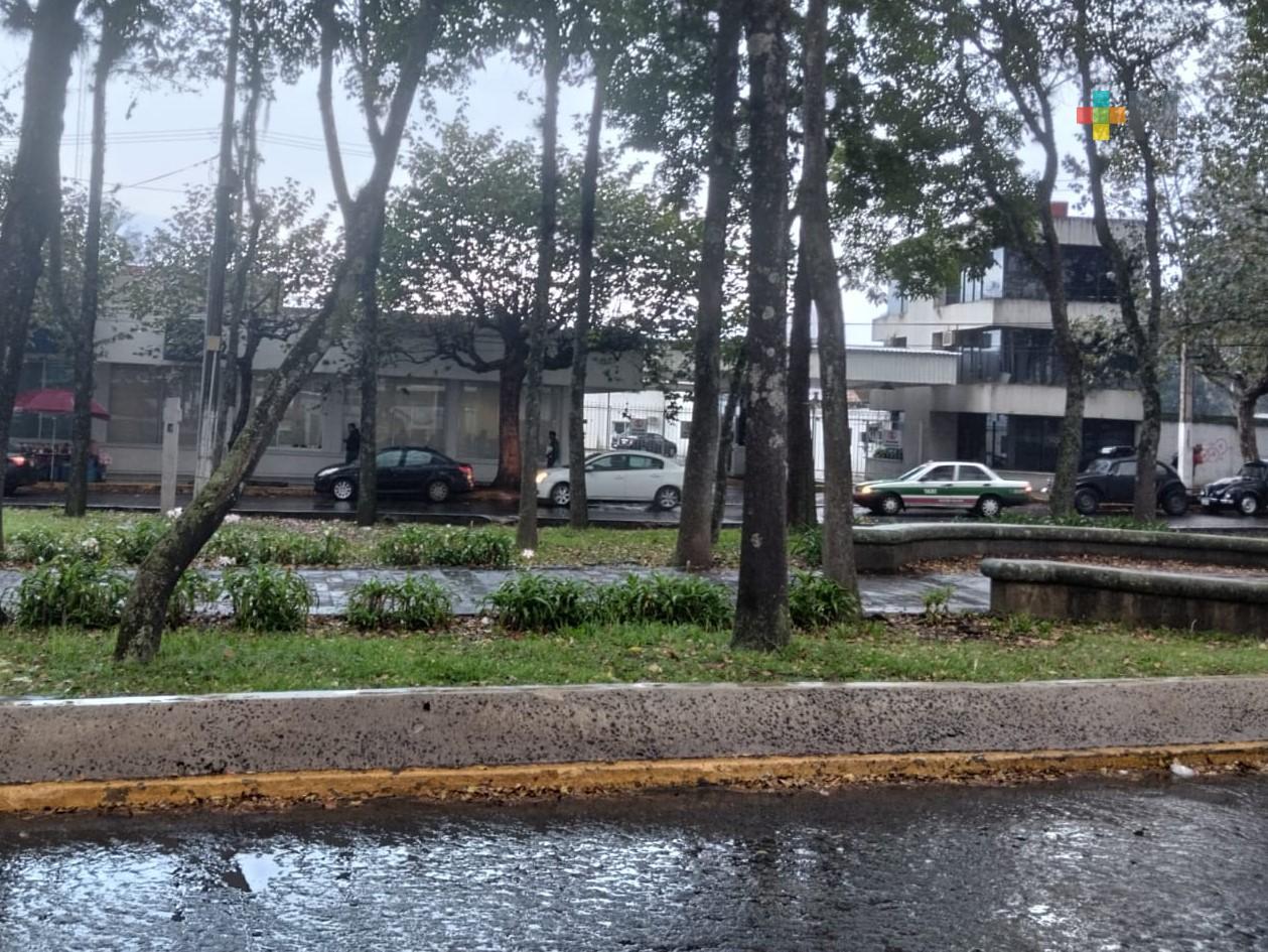 Se espera que febrero sea menos frío y marzo con más lluvias: SPC