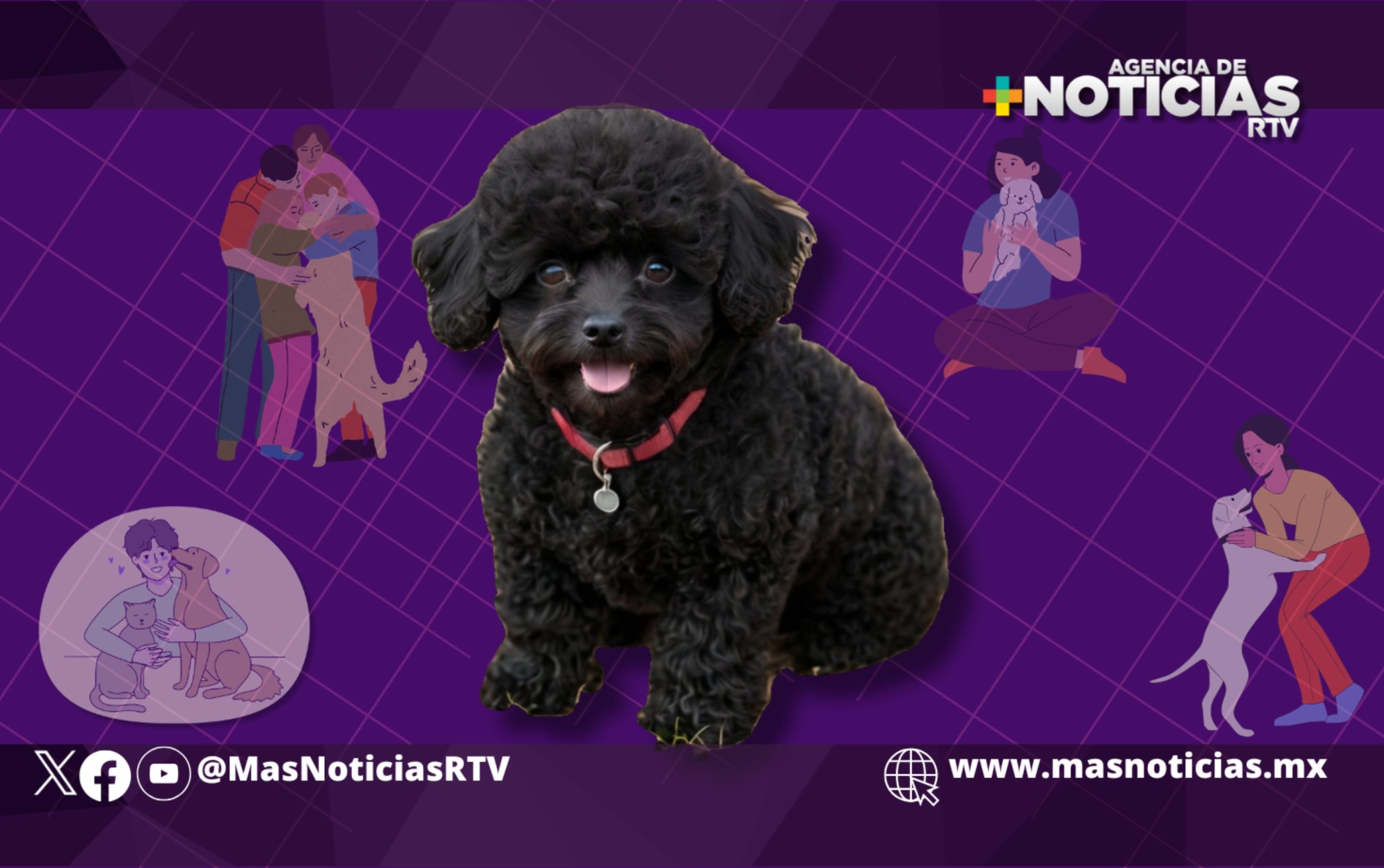 Día Mundial de Amar a tu Mascota