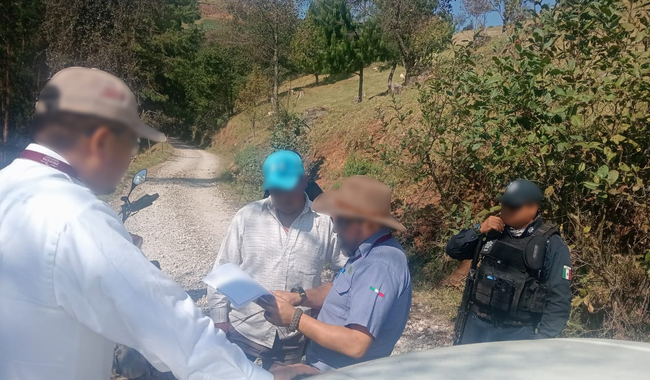 Profepa asegura madera y pone a disposición a dos personas en Veracruz