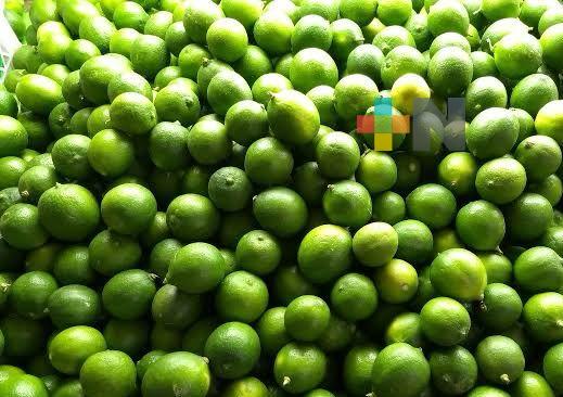 Incremento en aranceles afectará a productores del campo del sur de Veracruz