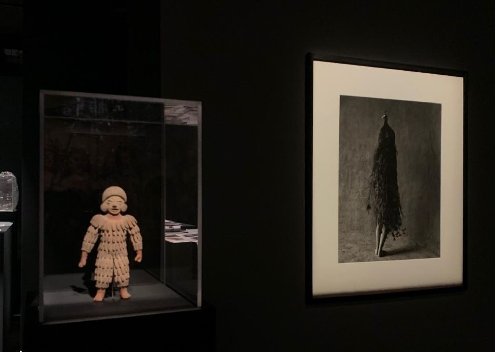 Las “Aves de México” vuelan a Marruecos