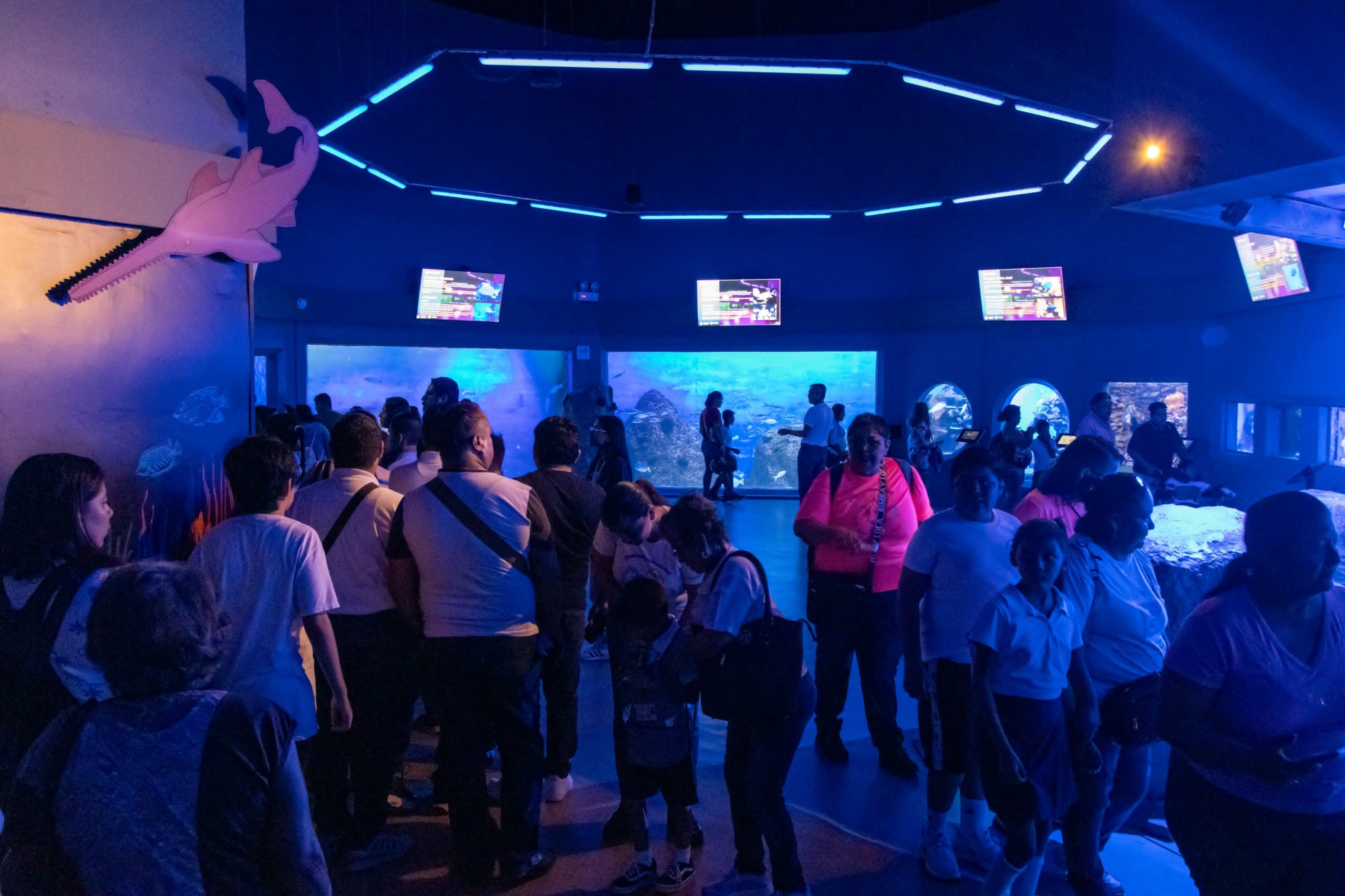 Miles disfrutan el Martes Gratis en el Aquarium de Veracruz