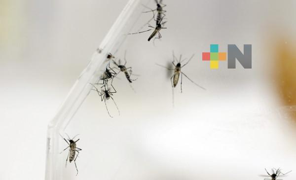Continúan jornadas para evitar propagación de mosco transmisor del dengue