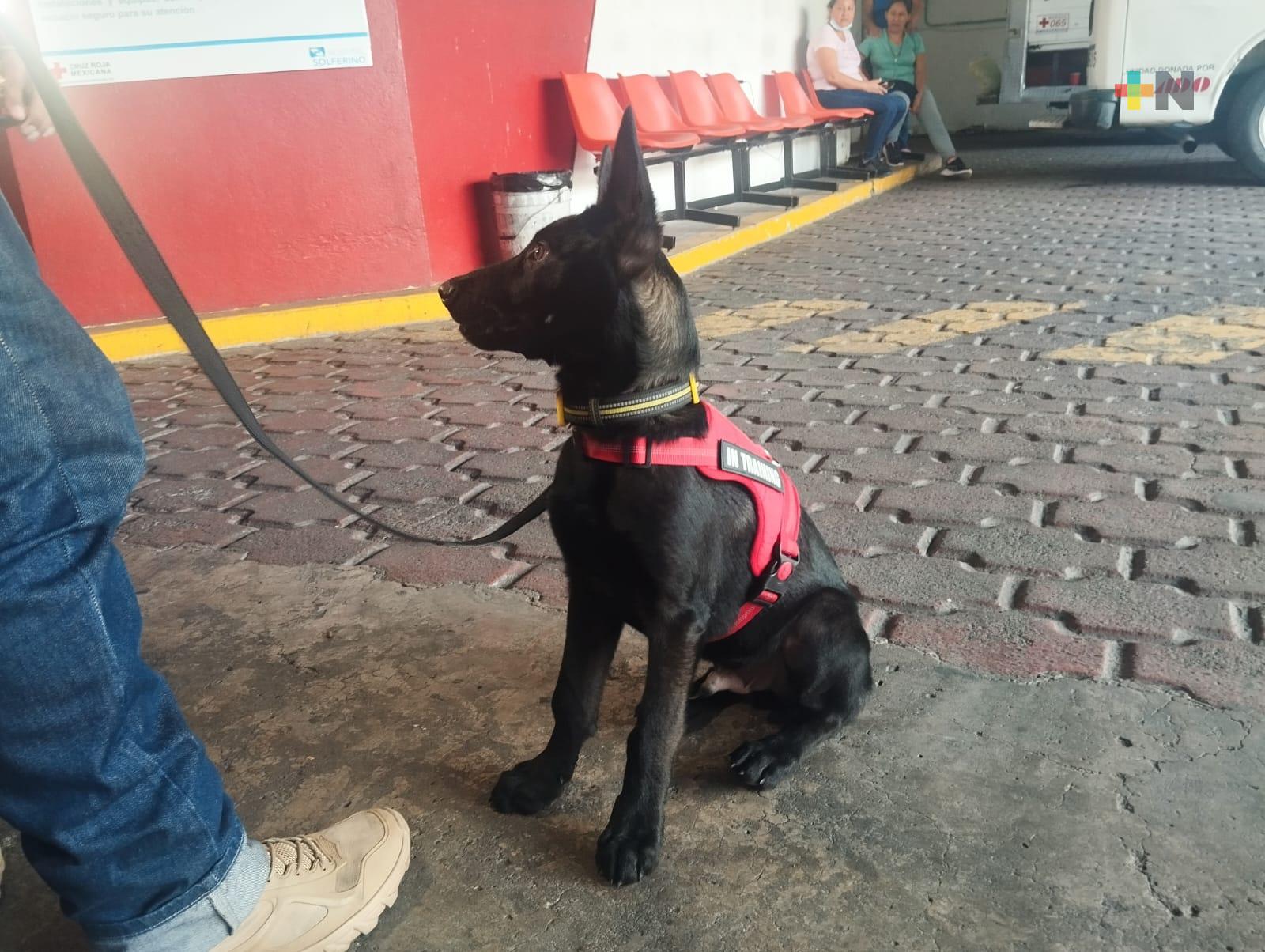 Nuevo integrante de la Cruz Roja Veracruz