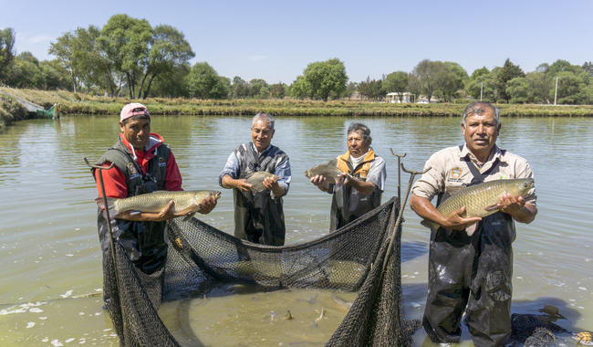 Gobierno de México dispersará más de mil 200 mdp para el pago de Bienpesca