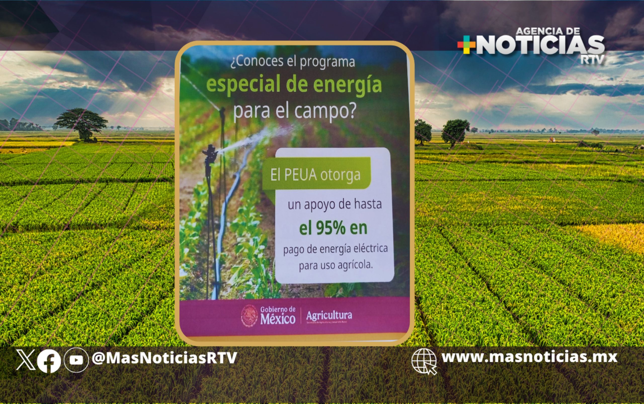 Secretaría de Agricultura extiende programa especial de energía eléctrica para uso agrícola