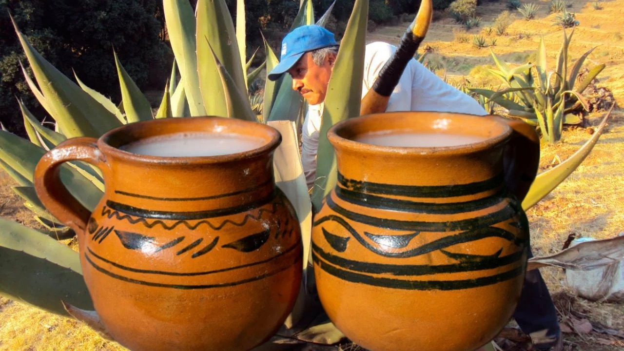El 5 de febrero se celebra el Día Nacional del Pulque