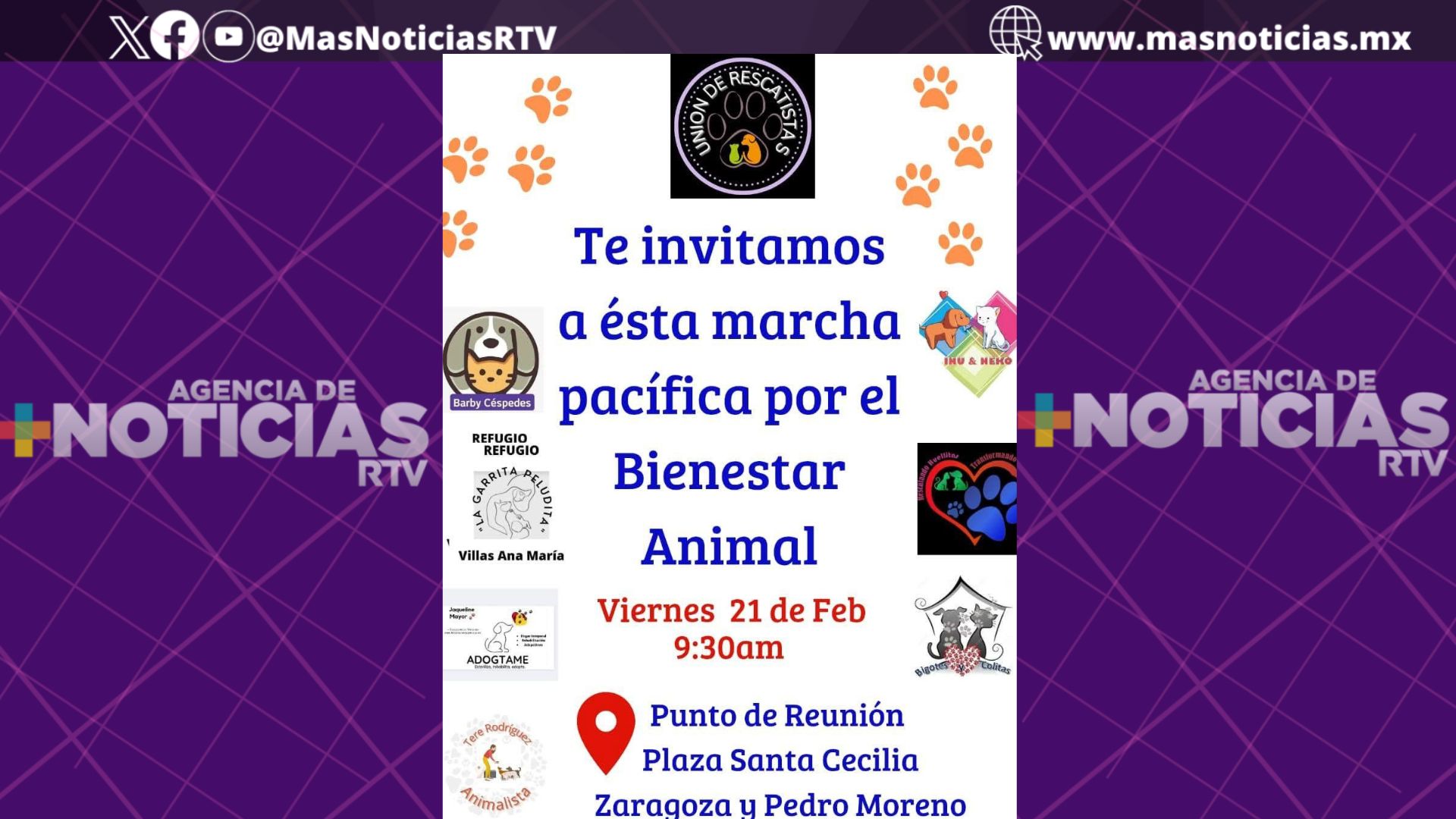 En Coatzacoalcos realizarán marcha pacífica por el bienestar animal
