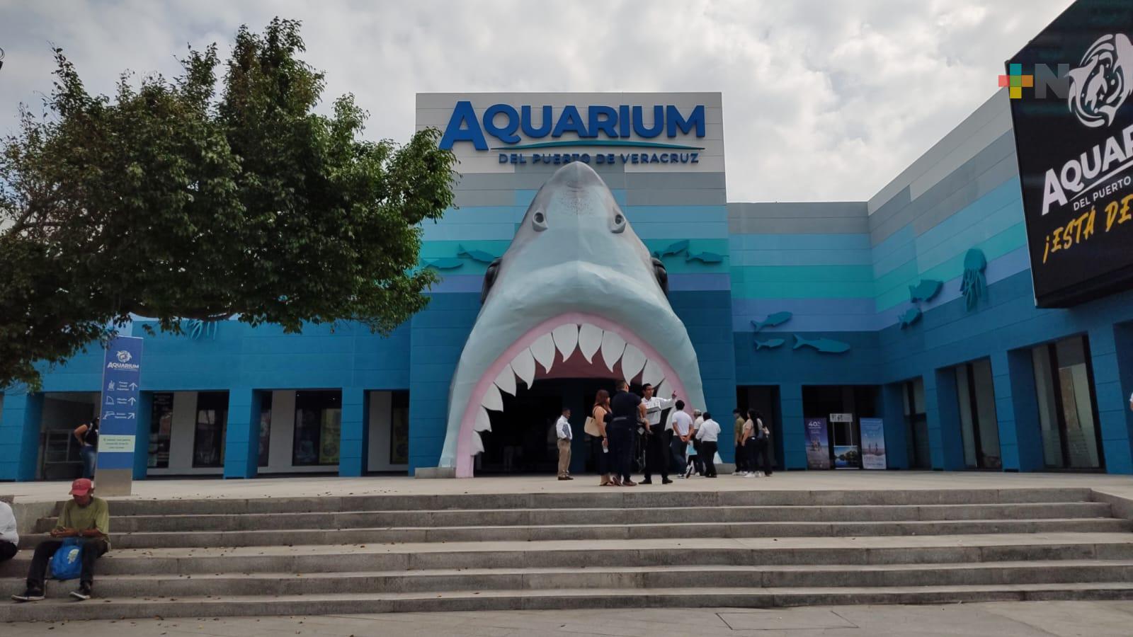 Cerca de 14 mil visitantes tuvo plaza Aquarium el fin de semana largo