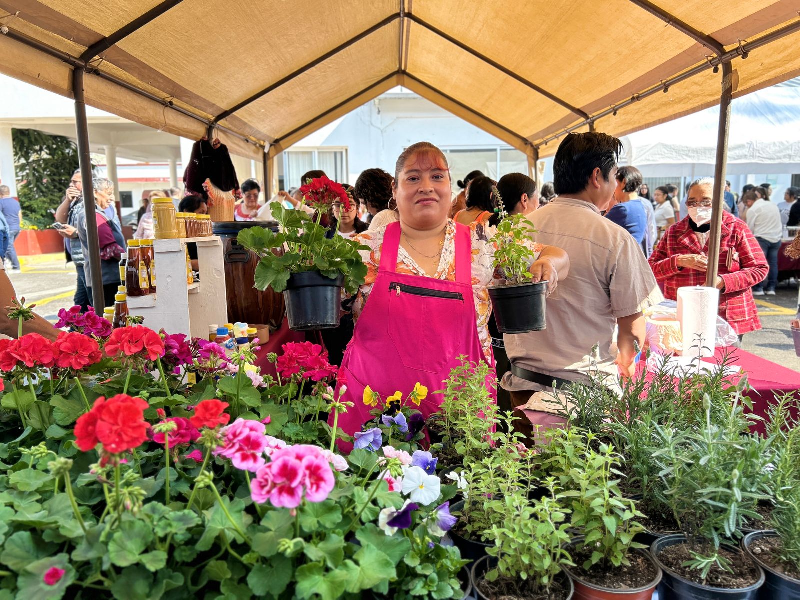 Las Caravanas de Sedarpa promoverán el comercio justo y formal en el sector primario
