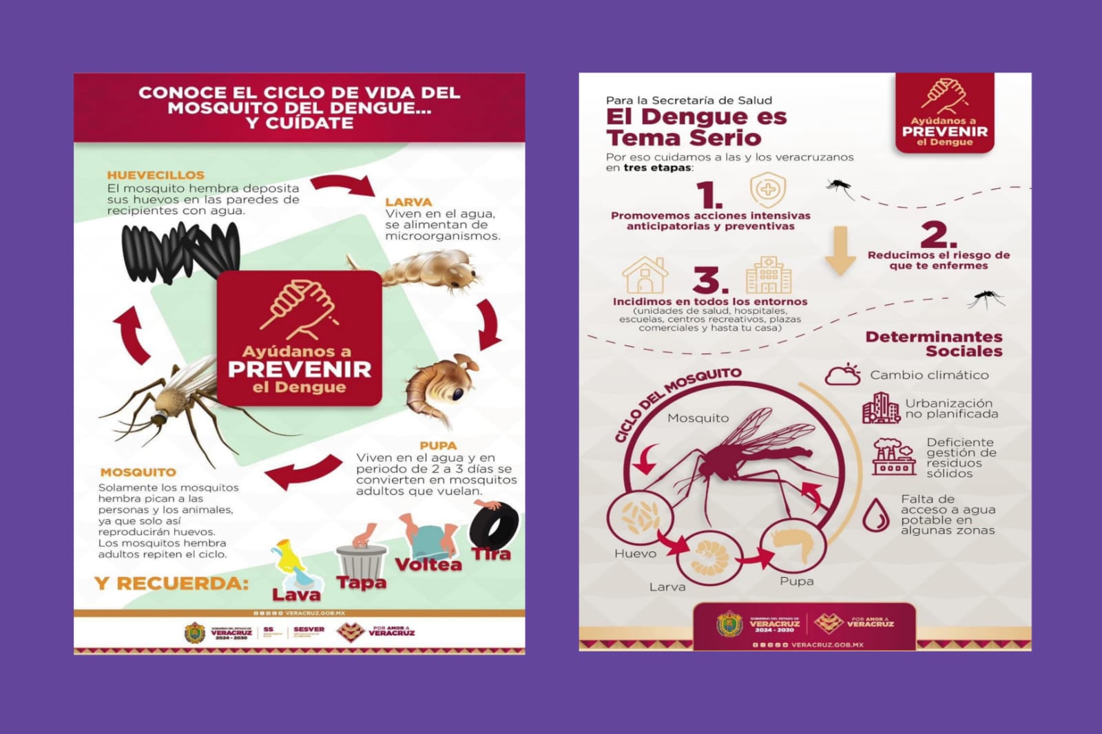 Arranca en Veracruz campaña intensiva contra el dengue: prevención y fumigación