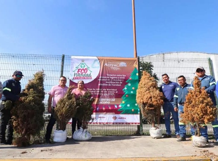 Eco Navidad: ¡Más de 8 mil árboles reciclados!