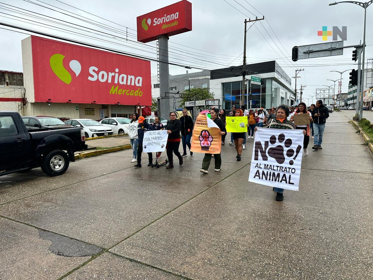 Animalistas de Coatzacoalcos exigen castigos a quienes maltraten animales