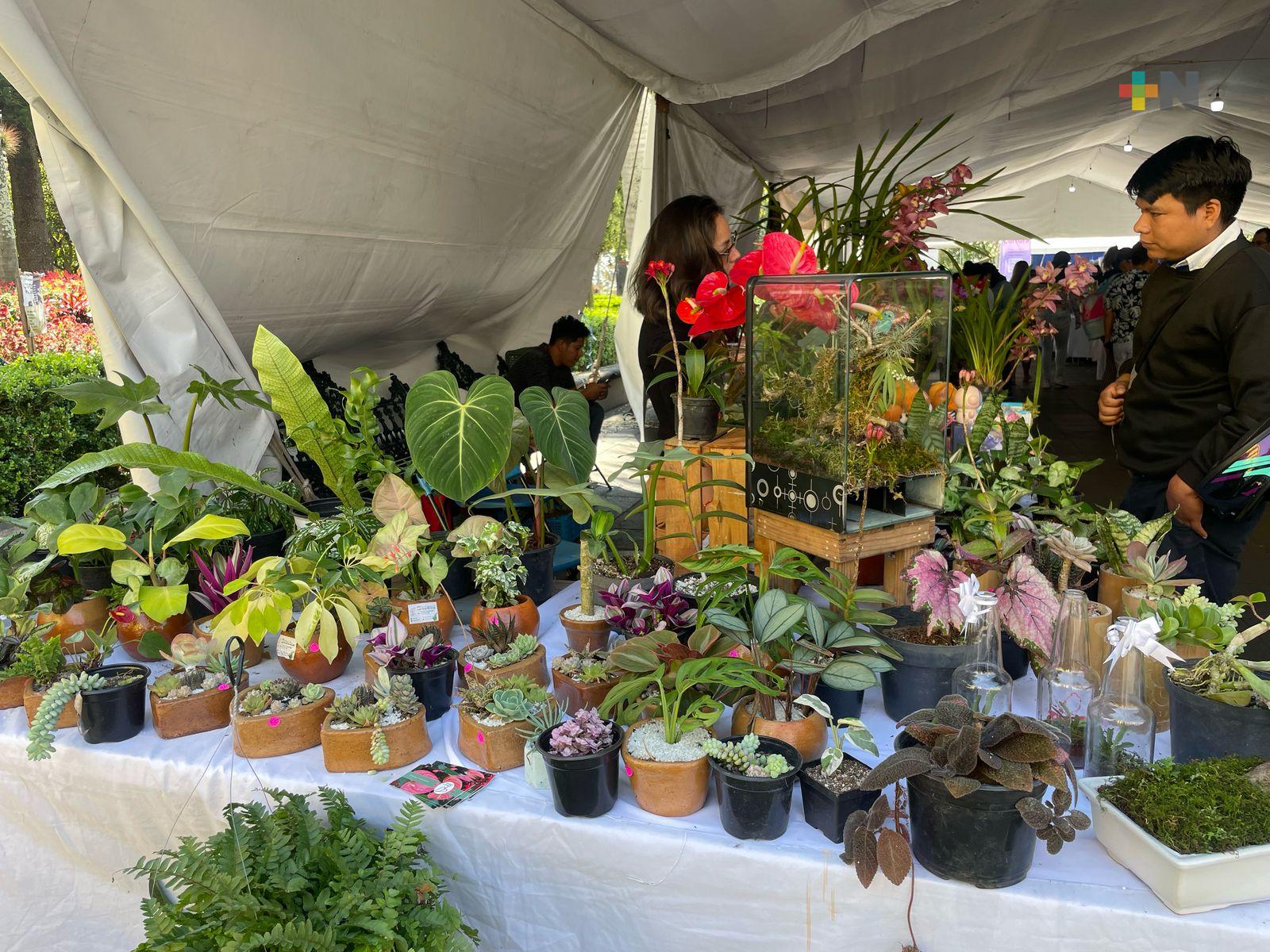 Floricultores de la región Xalapa tuvieron buenas ventas por Día de San Valentín
