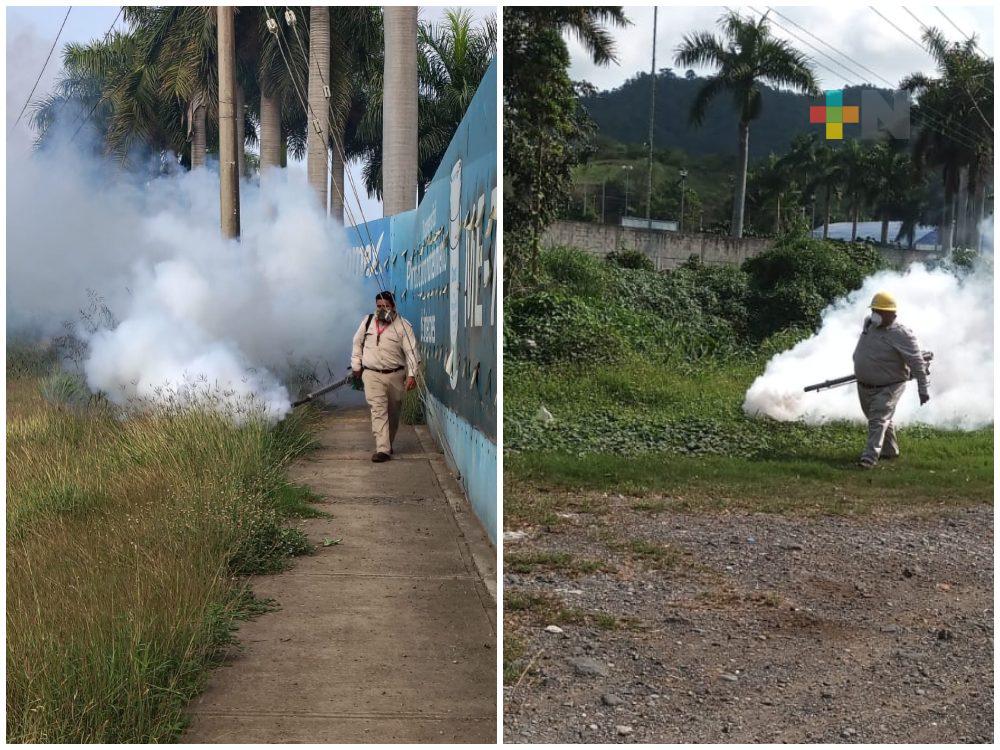 Continúa campaña contra dengue en el estado de Veracruz