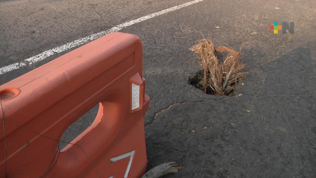 Piden se repare hundimiento en avenida Manuel Doblado de Veracruz puerto