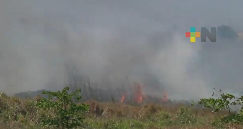 Al iniciar temporada de calor, exhortan a no fomentar basureros clandestinos en Coatza