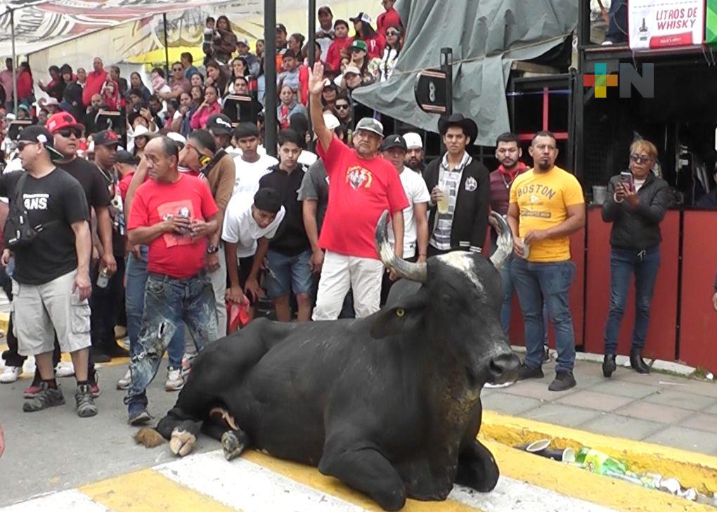 Sueltan toros en Tlacotalpan; aplican multas por maltrato