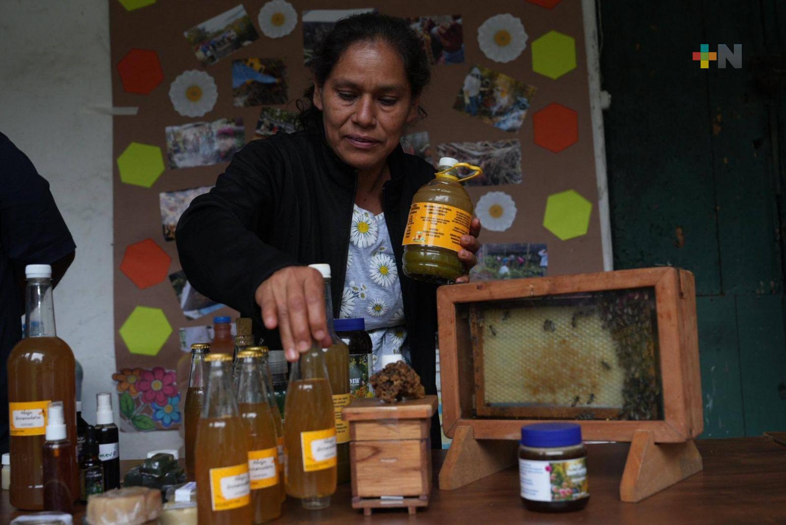 Agro tianguis multisectoriales se realizarán en 12 regiones de Veracruz