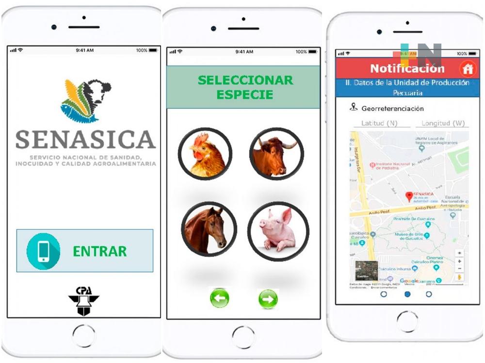 App AVISE, herramienta para detectar enfermedades en animales