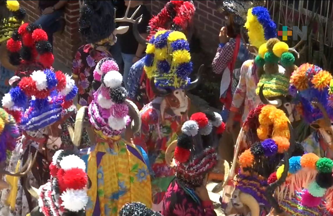 Celebran carnaval afromestizo en Alto Tío Diego, municipio de Tepetlán