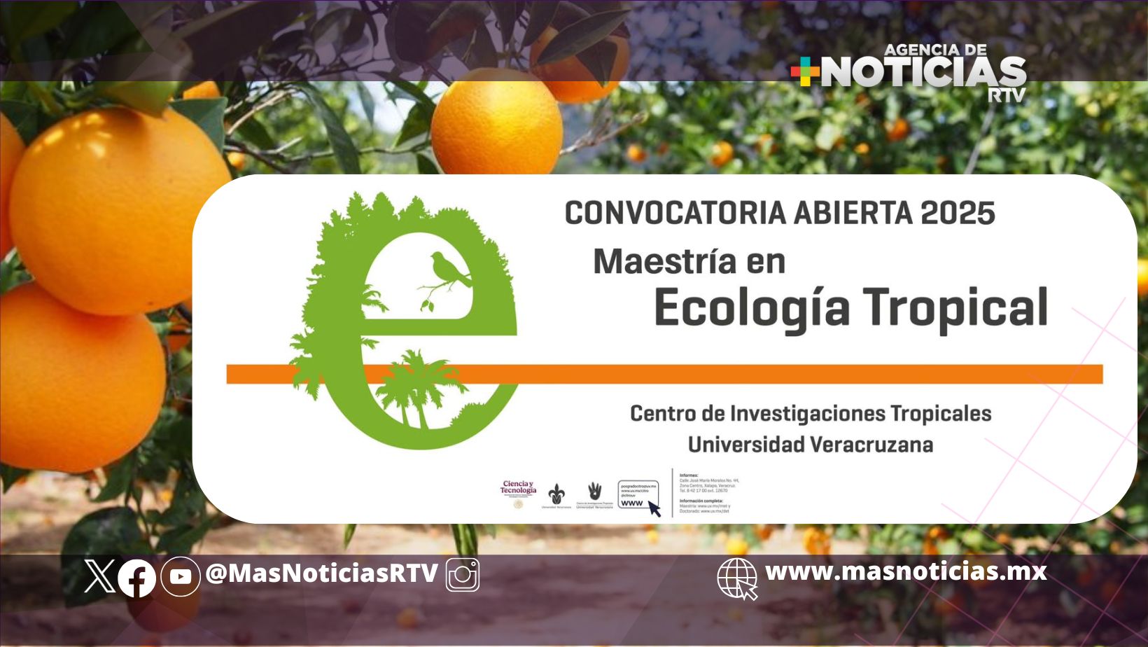 Lanza UV convocatoria para maestría en ecología tropical
