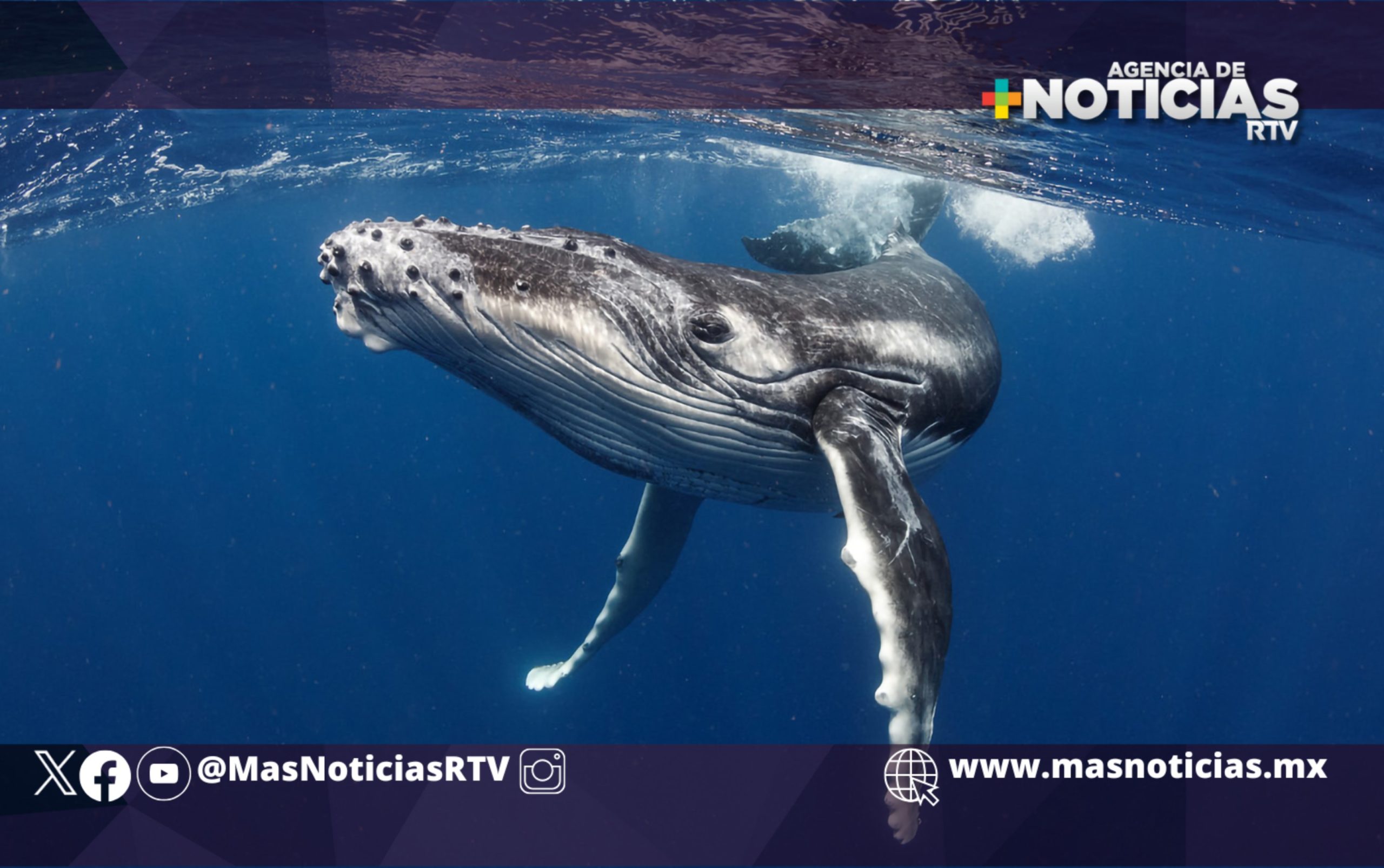 Pescadores destacan importancia de cuidar ecosistema marino