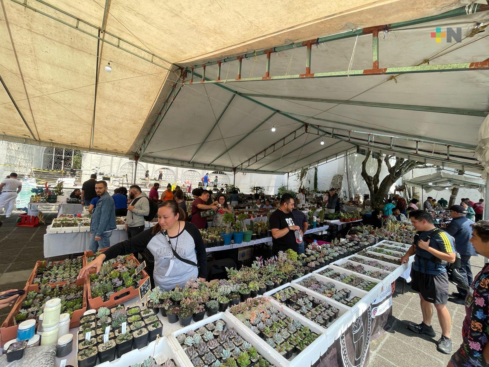 Expo Dealers Cactus y Suculentas en Xalapa