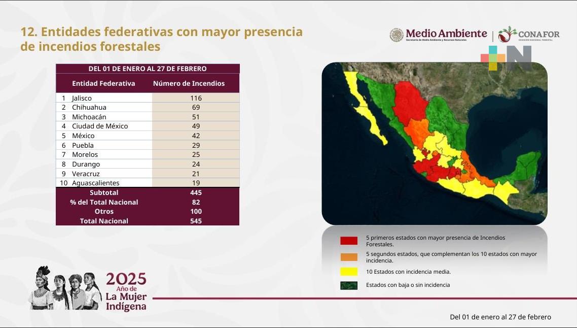 Conafor reporta 545 incendios en dos primeros meses de 2025; sólo 5% de superficie con árboles