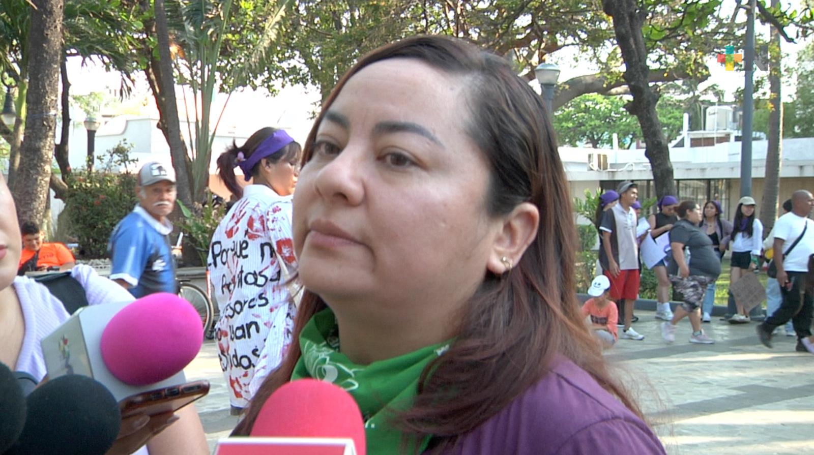 Colectivo aplaude a Congreso reconocer violencia vicaria en leyes