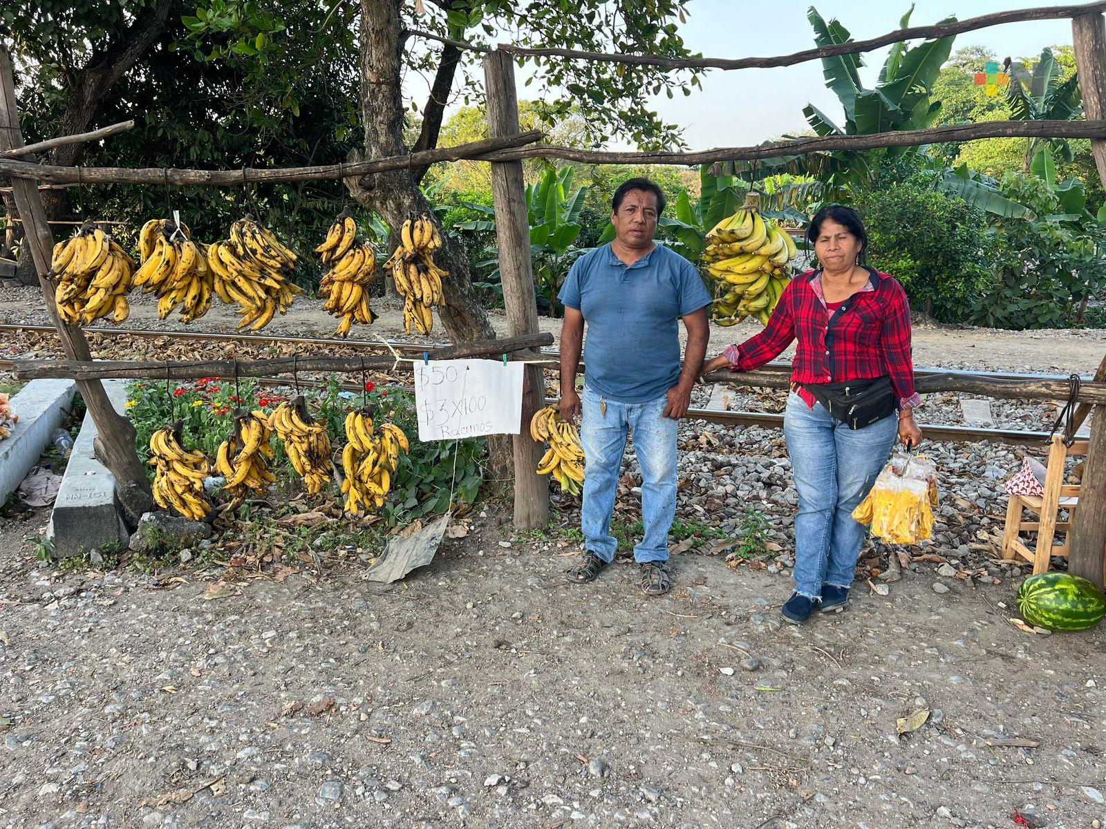 La Cuenca del Papaloapan, un poderoso motor de la economía platanera