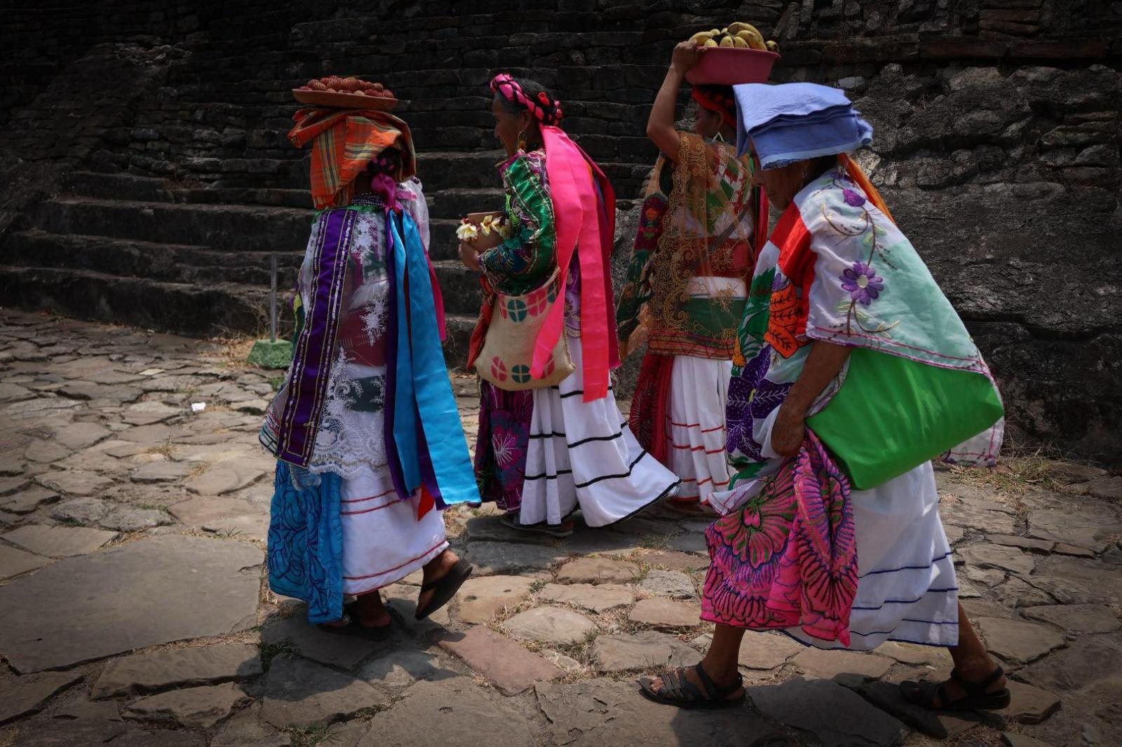 La SEV participará en Cumbre Tajín con talleres y actividades educativas
