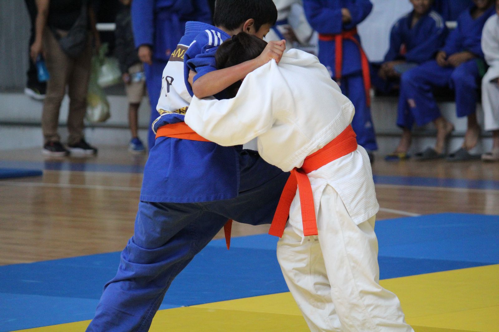 Concluye con éxito el estatal de judo rumbo a los Nacionales Conade 2025