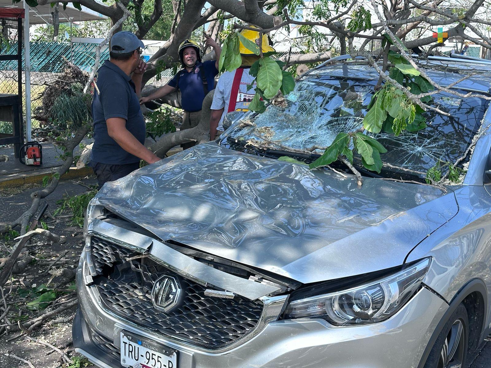 Caída de árboles, postes y daños en vehículo deja norte en Veracruz puerto