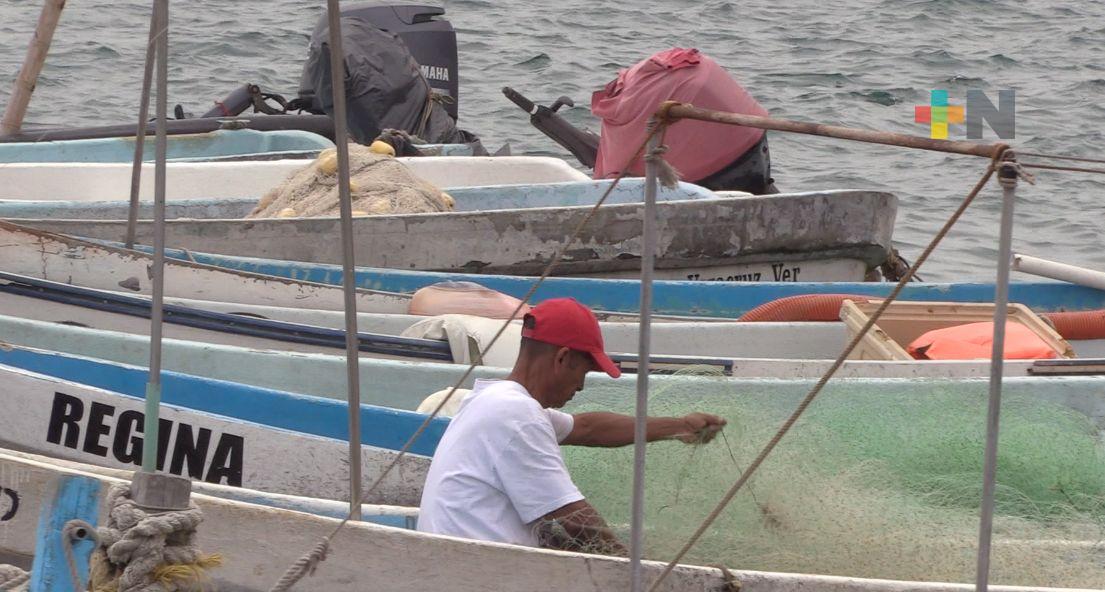 Estabilidad del clima permite recuperar producción pesquera en Veracruz puerto