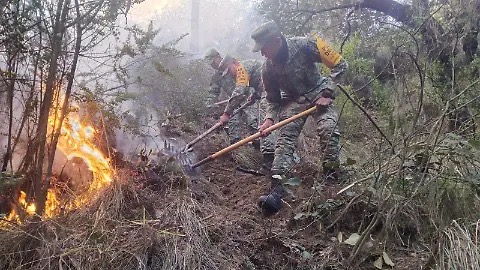 Más brigadas para combatir el incendio en el Cofre de Perote