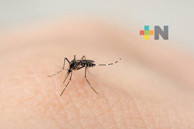 Es preciso vigilar depósitos de agua almacenada durante estiaje por mosco de dengue