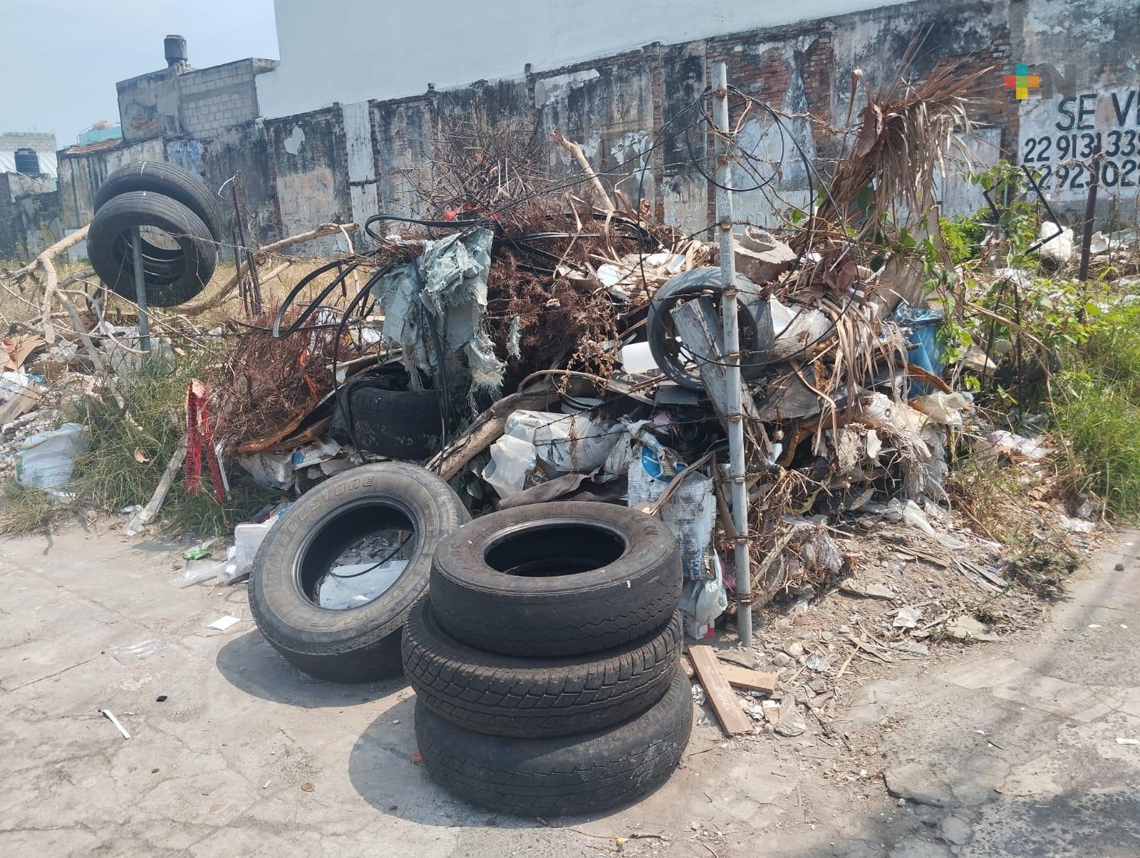 Utilizan terreno abandonado como basurero en colonia de Vecraruz puerto