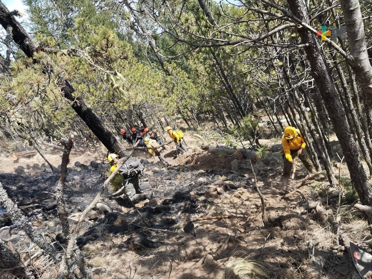 Casi 600 brigadistas de diversas dependencias refuerzan combate al incendio en Cofre de Perote