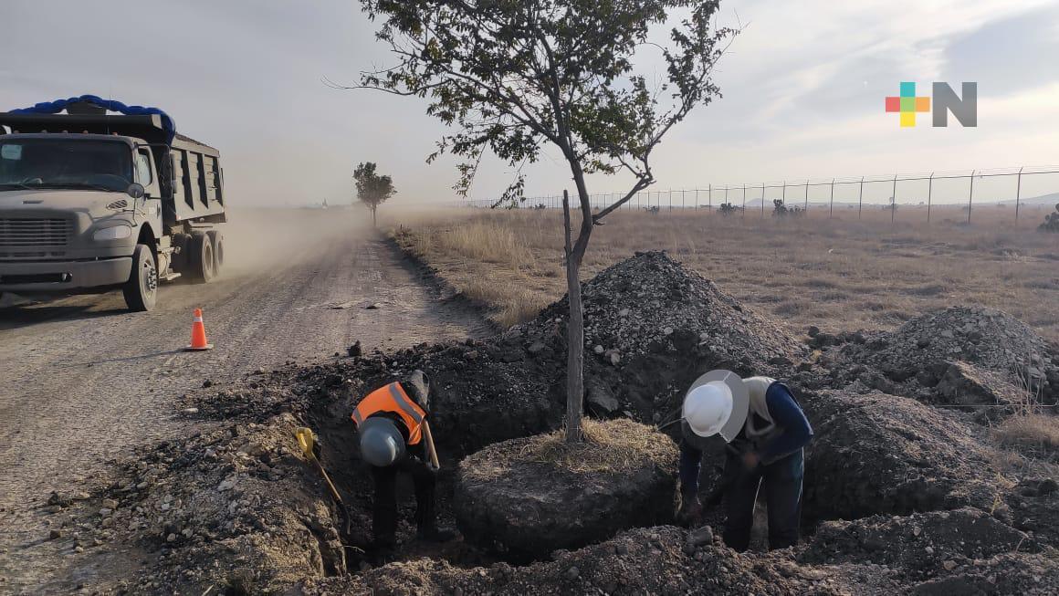 Sheinbaum muestra avance de tren México-Pachuca; estaría listo en año y medio