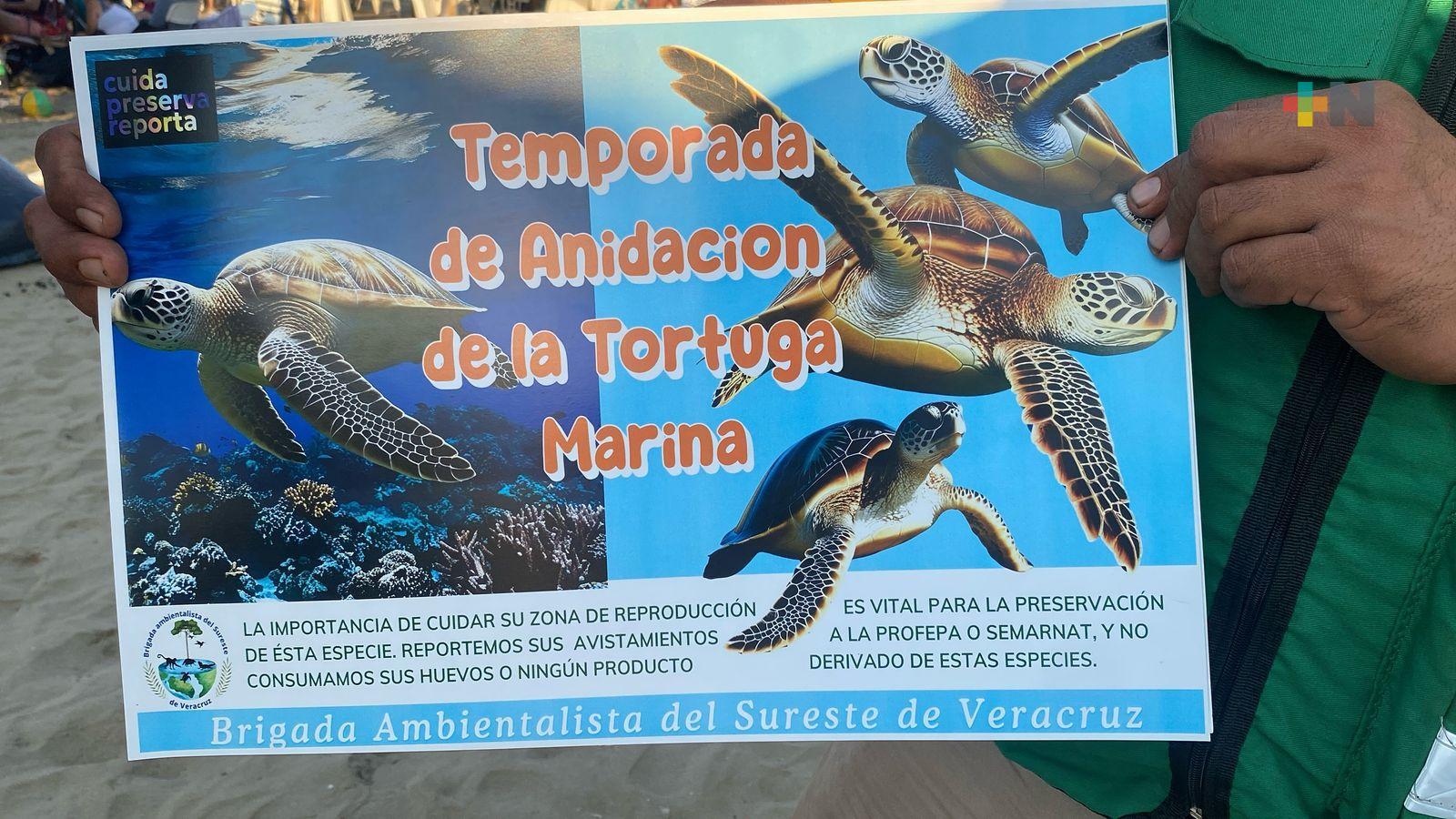 Activistas de Coatza piden a turistas conservar limpias las playas y proteger especies marinas