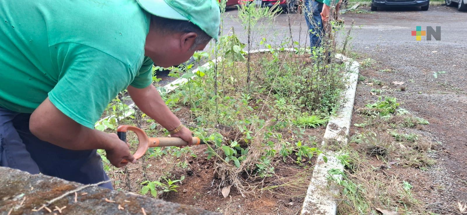Manos de jardineros le dan vida a la tierra