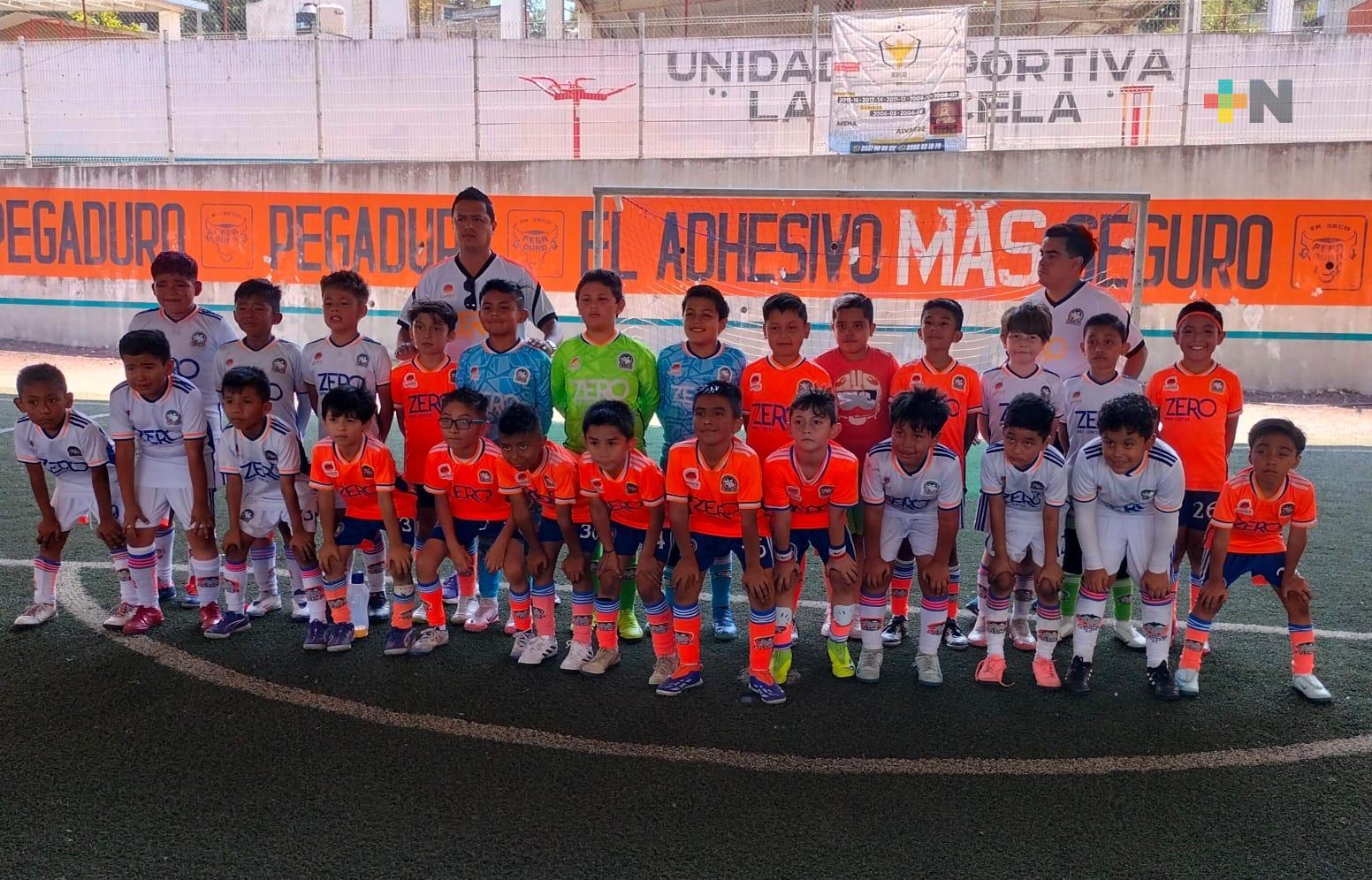 Delfines divide triunfos en Copa Andamaxei