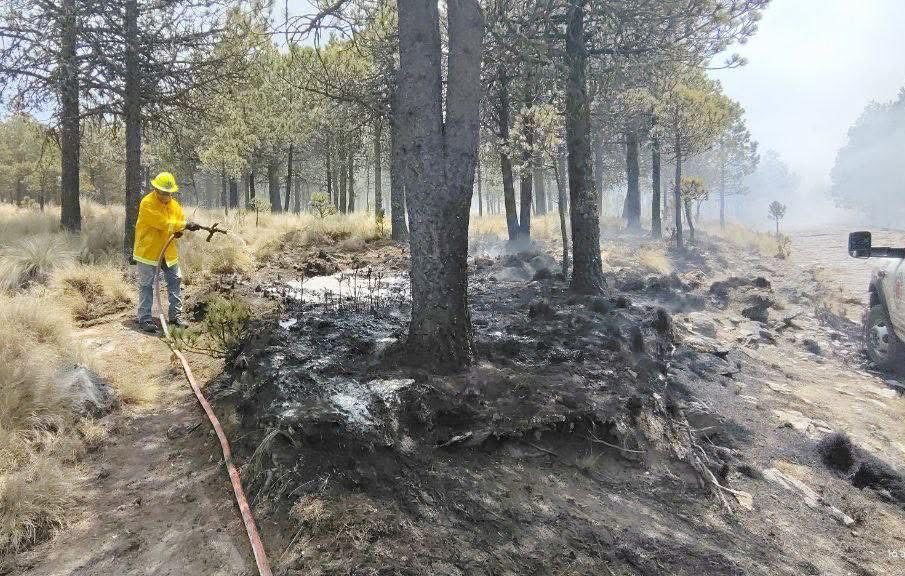 Hasta el 17 de abril se han presentado 77 incendios forestales en Veracruz