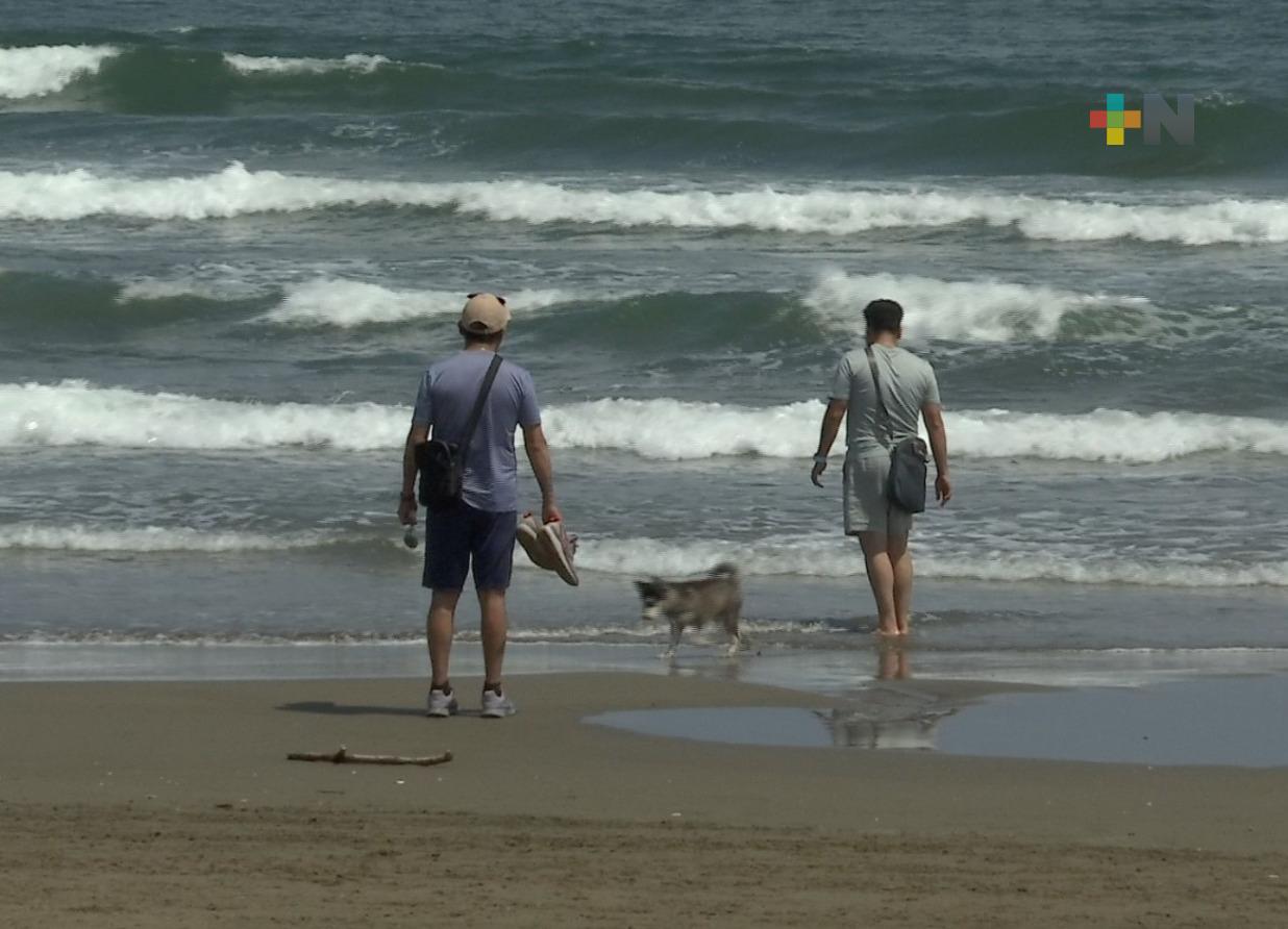 Porteños y visitantes aprovechan temporada vacacional para llevar mascotas a la playa