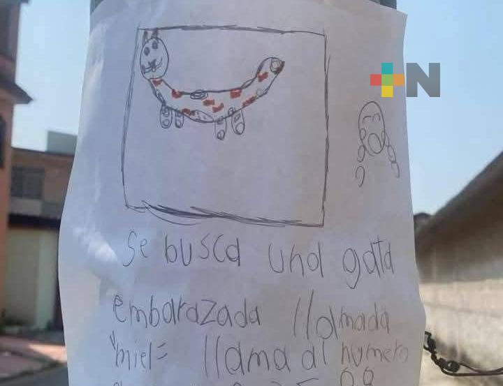 Cartel infantil causa ternura y empatía entre habitantes de Minatitlán