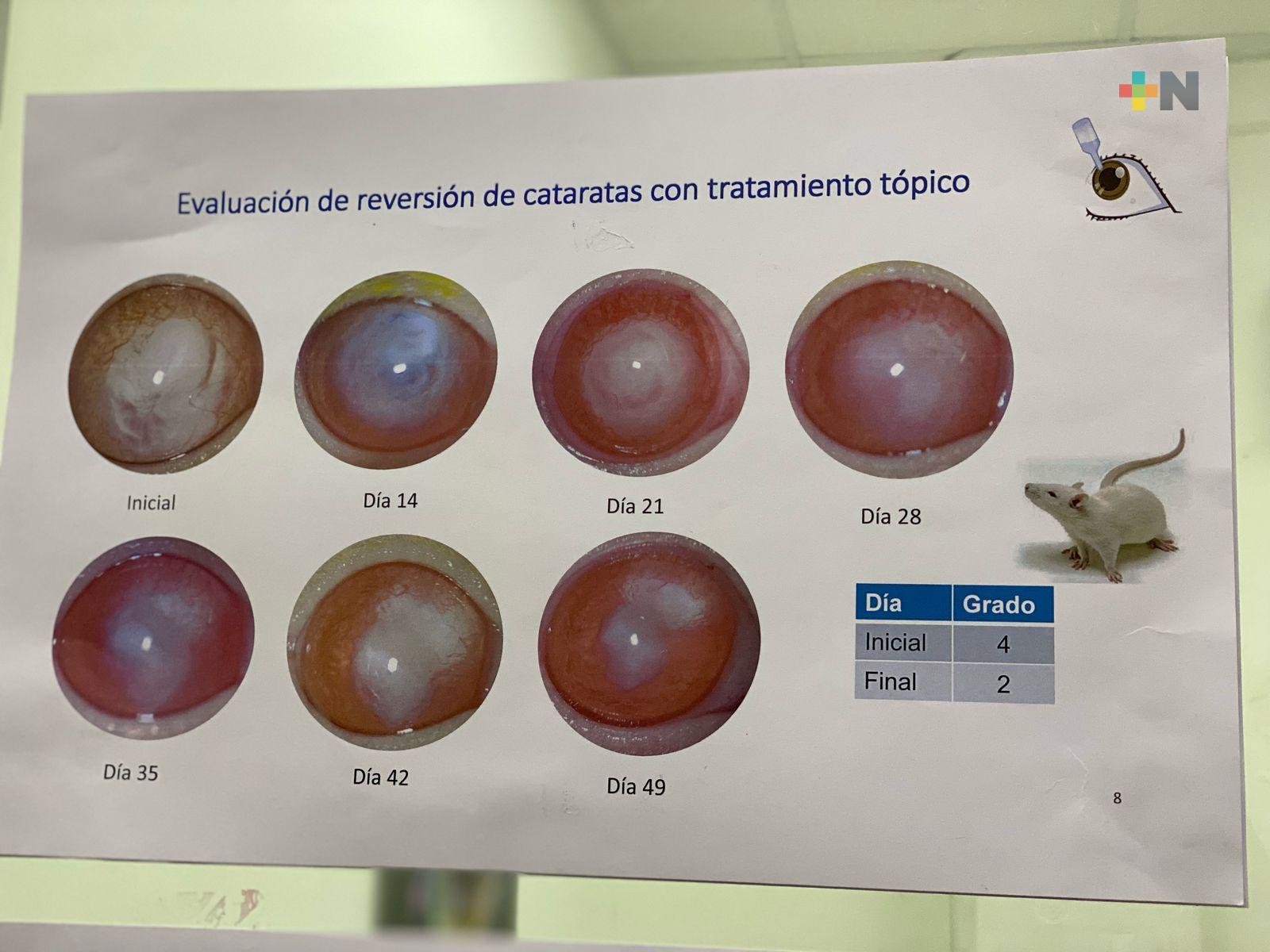 Tecnológico de Veracruz crea ungüento que reduce cataratas