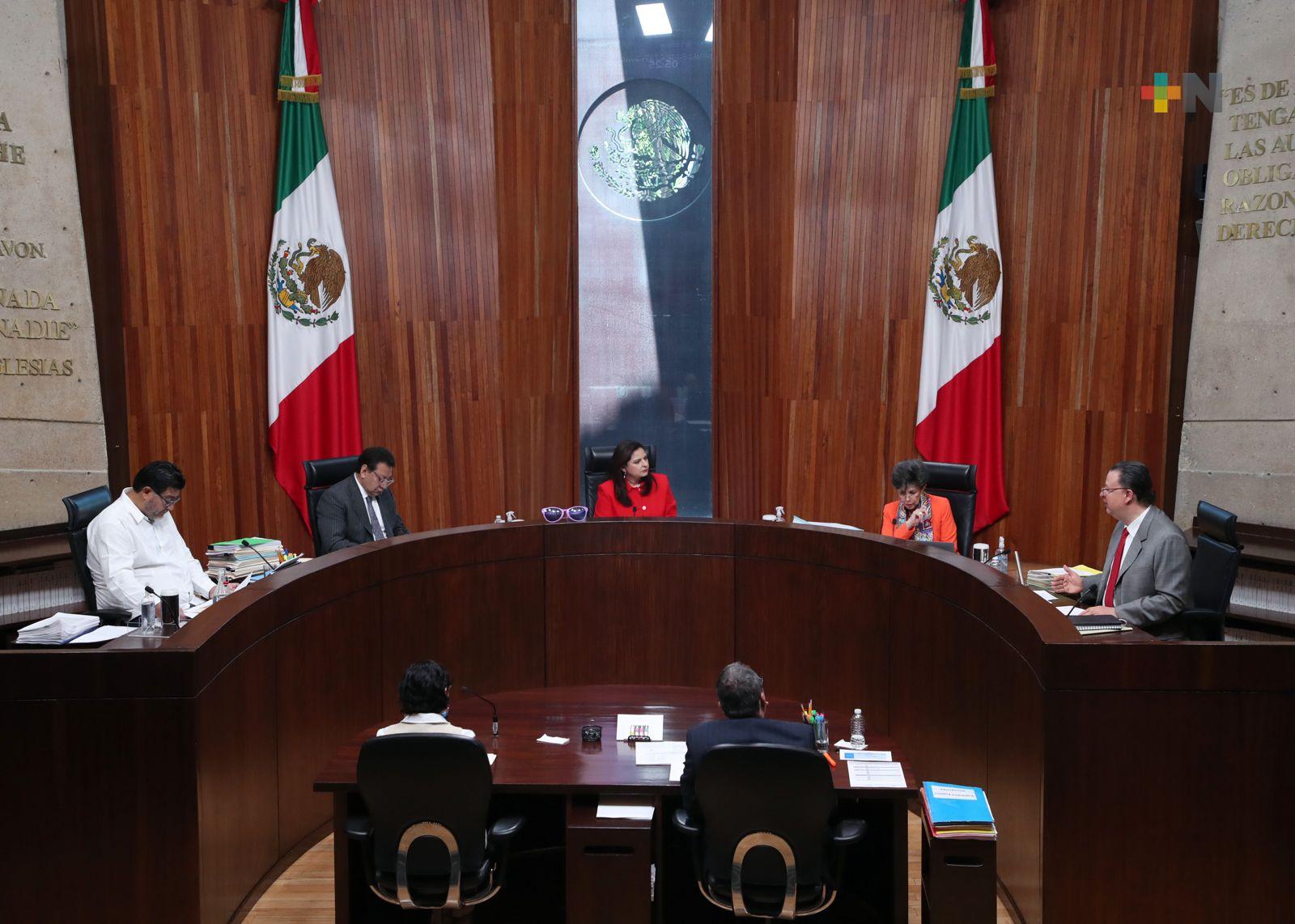 INE no tiene atribuciones exclusivas para promover o difundir elección del PJ: TEPJF