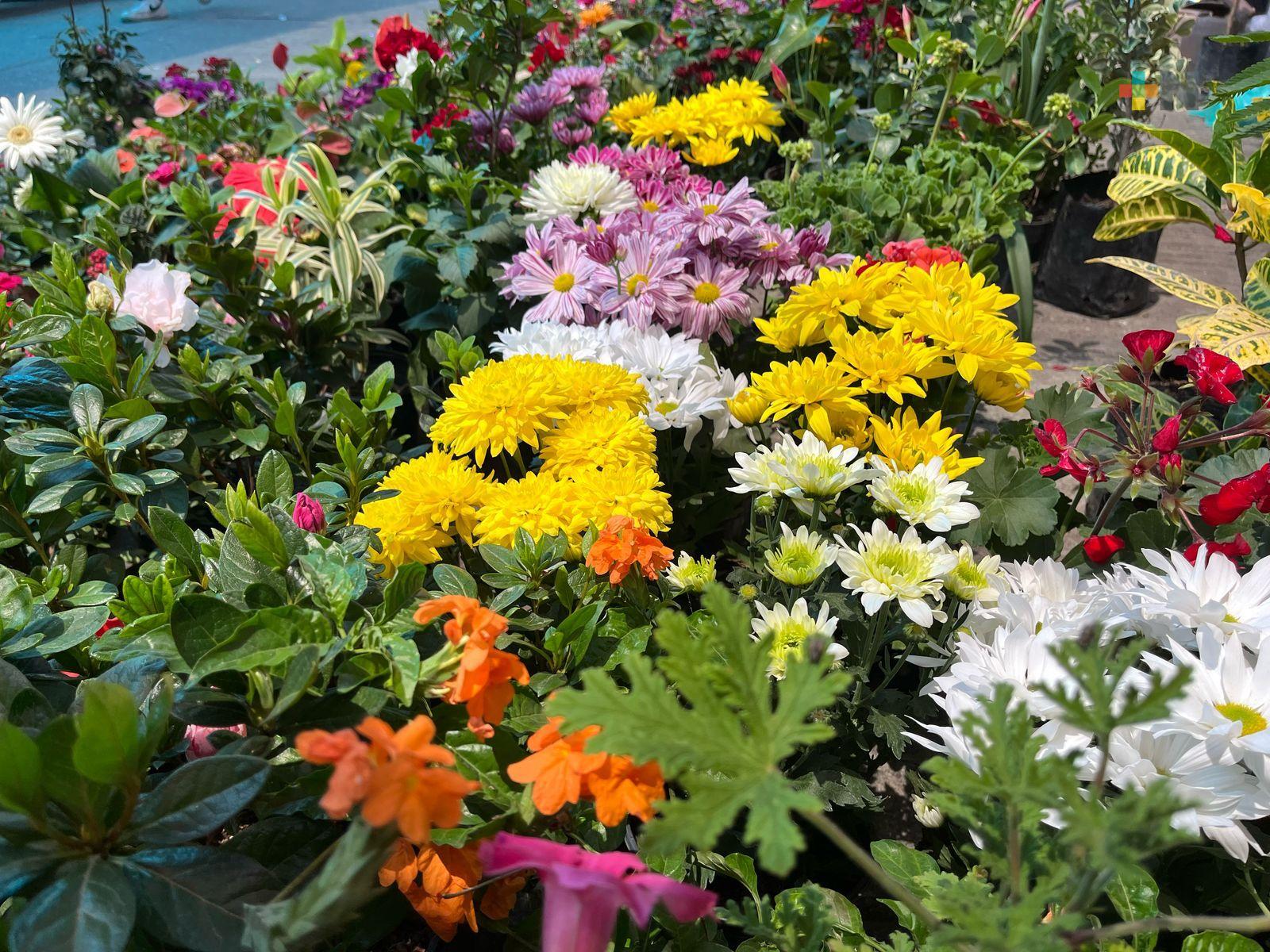 Diversidad botánica en Martínez de la Torre