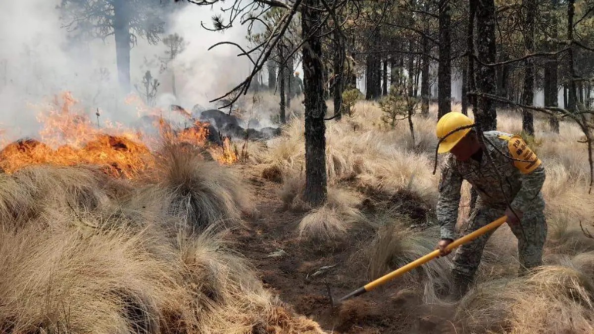 Conafor y SPC Veracruz reporta un incendio forestal activo y uno liquidado